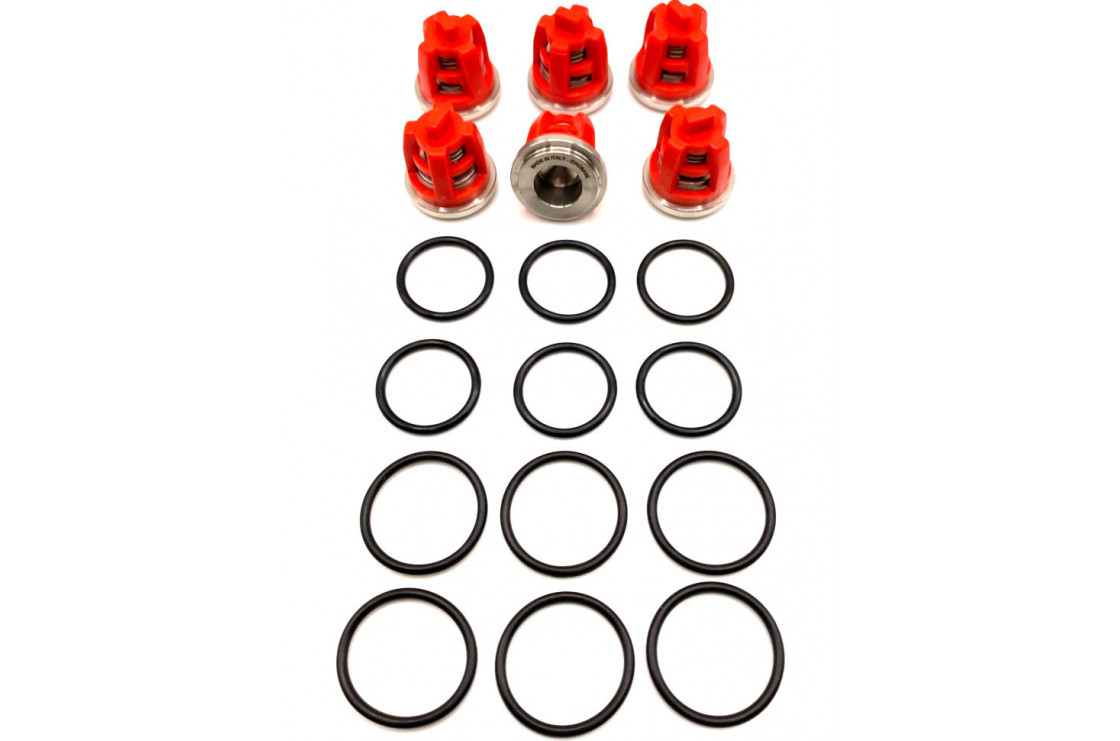 KR11 KIT Комплект клапанов для Kranzle моделей: AQ, B, D, HD, 3170-3270, Profi-jet, Quadro, THERM, W, ZX.0787, Италия IDROBASE