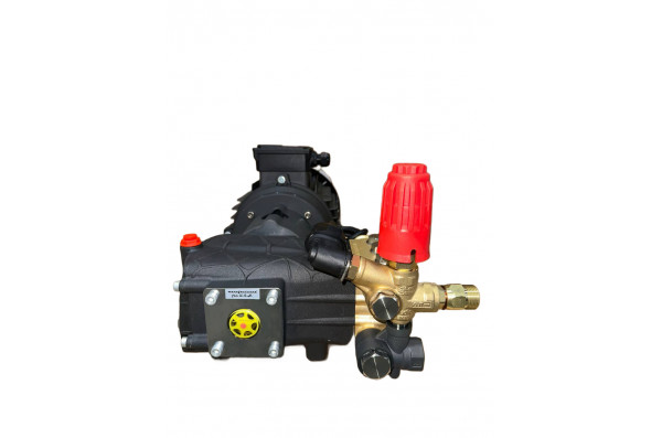 Моноблок TOR BM 15.20RB TSTOP (с гибкой муфтой)