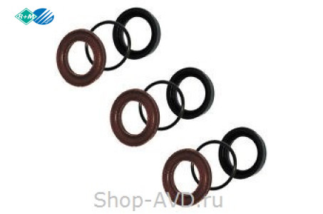 Комплект уплотнений для RK18.20HN на 3 поршня