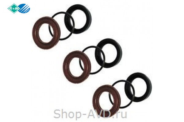 Комплект уплотнений для RK18.20HN на 3 поршня