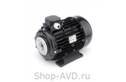 Nicolini 4 кВт 2850 об/мин