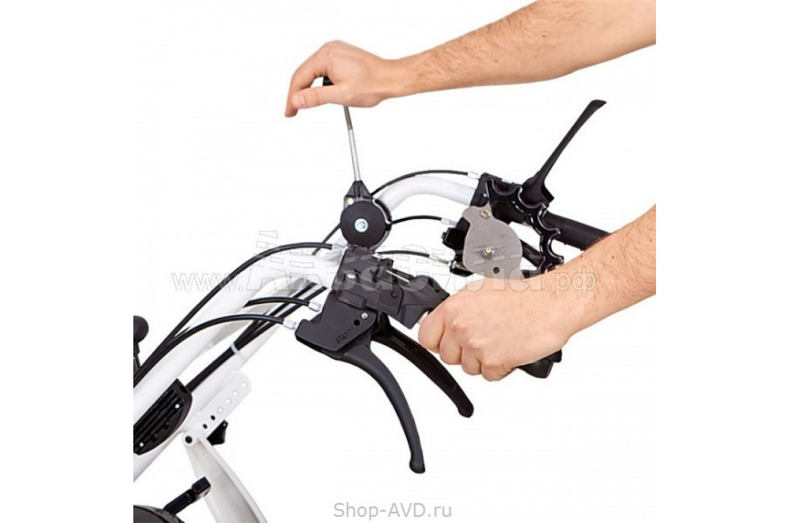 Подметальная машина Tielburger TK48 PRO HYDRO Honda