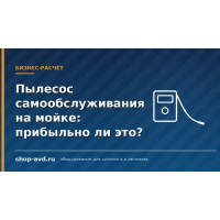 Пылесос самообслуживания на мойке прибыльно?
