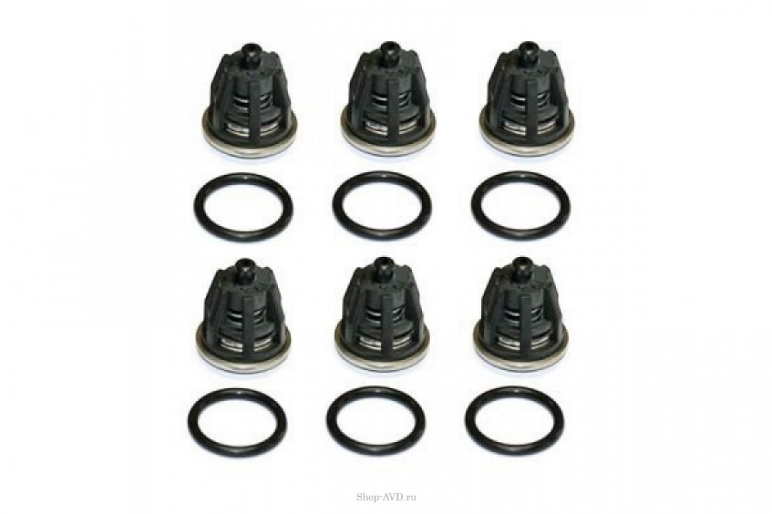 IPC Portotecnica KIT 01 Комплект клапанов для Royal Press