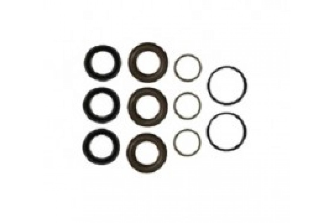Комплект уплотнений Annovi Reverberi 42469