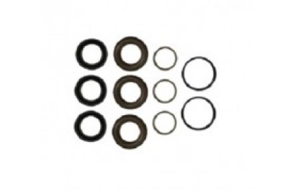 Комплект уплотнений Annovi Reverberi 42469