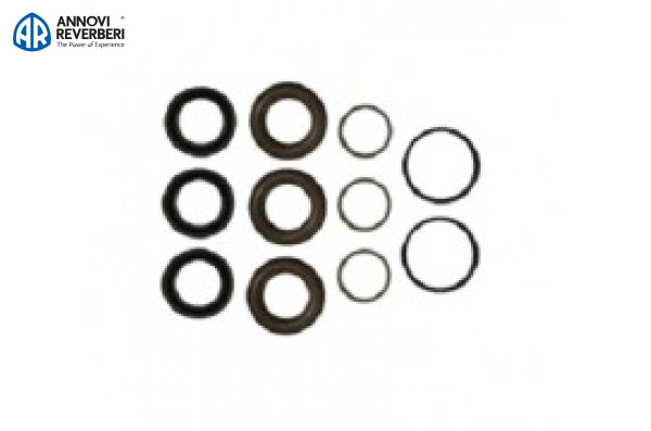 Комплект уплотнений Annovi Reverberi 42469