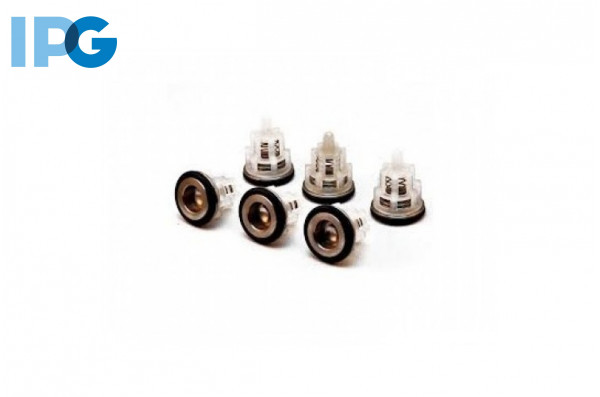 Ремонтный комплект клапанов KIT 309 (E1B1614, E1D1813) 