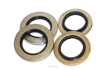 Jettos Комплект уплотнений LJ 18 мм с латунью (1 поршень)
