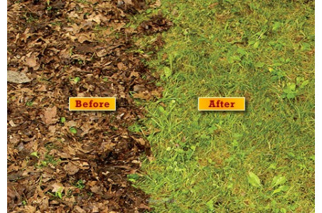 Little Wonder Pro Vac