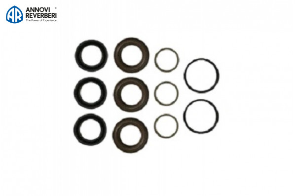 Комплект уплотнений Annovi Reverberi 42476
