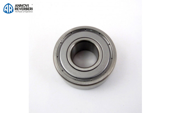 Подшипник Annovi Reverberi 1981210