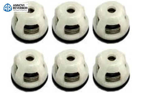 Комплект клапанов Annovi Reverberi 2186