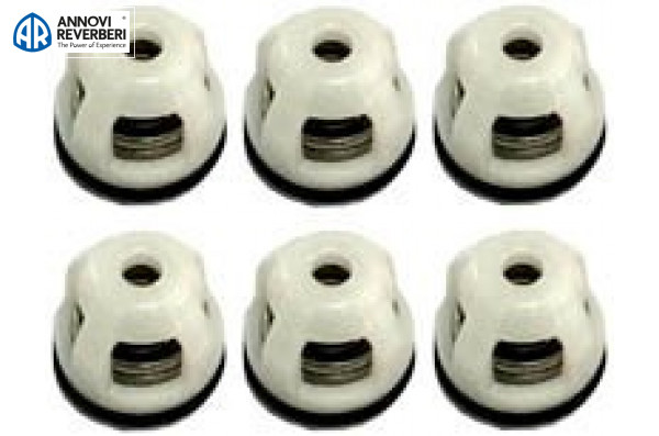 Комплект клапанов Annovi Reverberi 2186