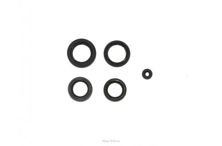 Jettos Комплект клапанов LJ (6 шт)