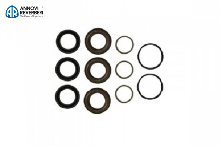 Комплект уплотнений Annovi Reverberi 42549