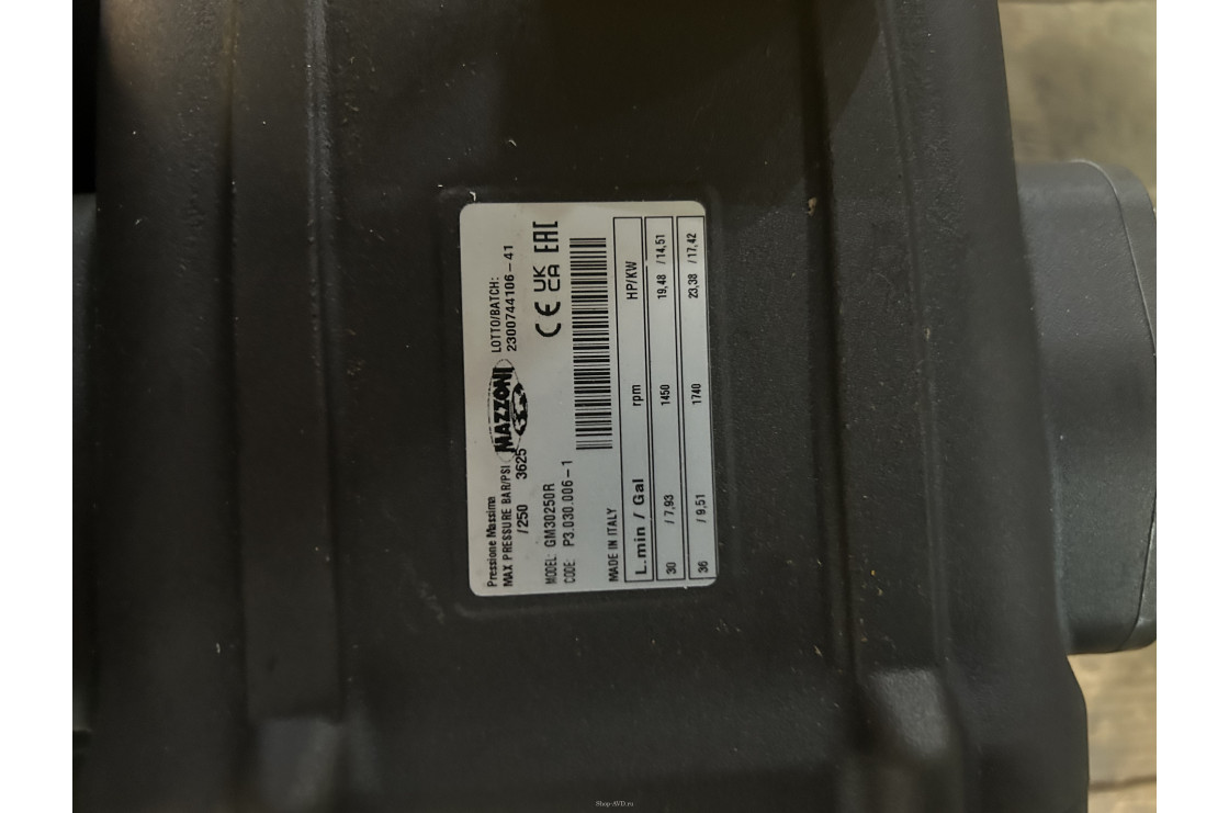 Моноблок Тритон M GM 30.250 BP 11 Ti (без корпуса, с манометром, с кнопкой запуска двигателя с теплозащитой)