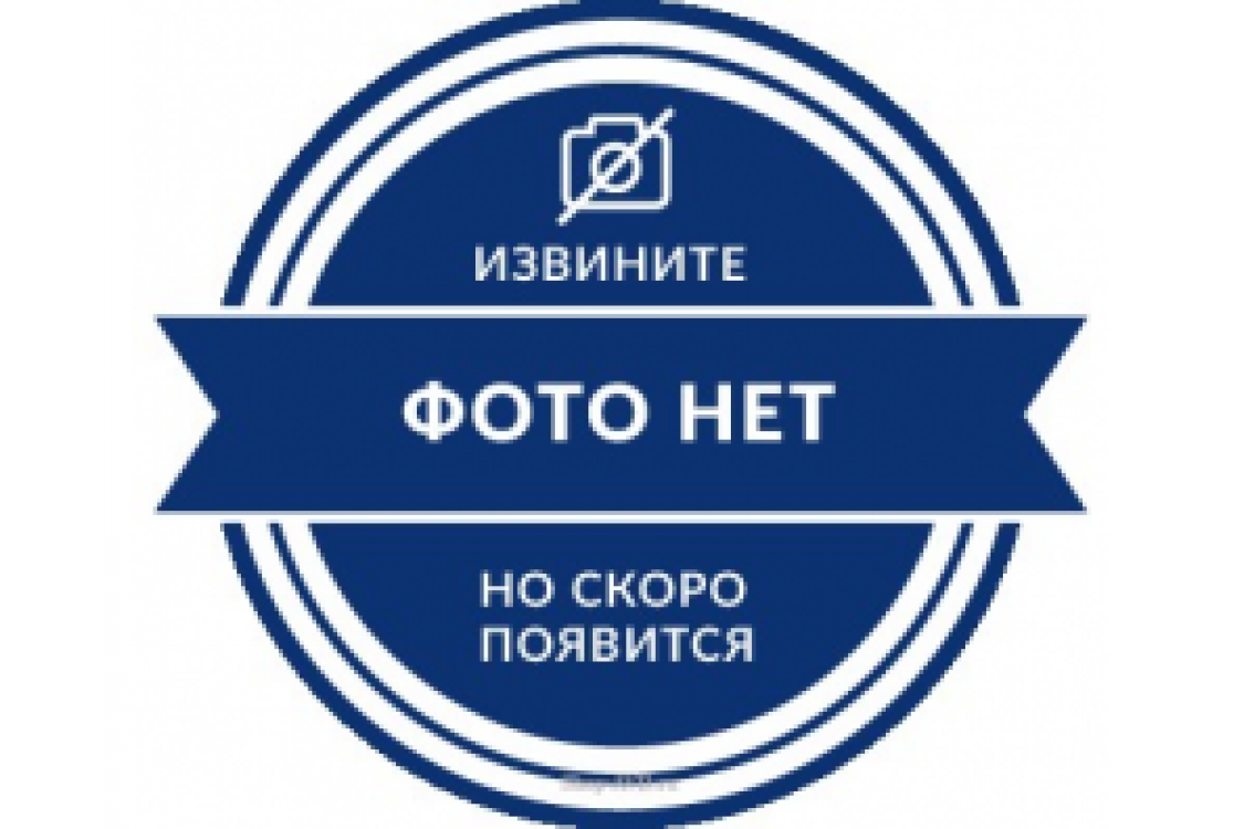 Копье литое L=200cm